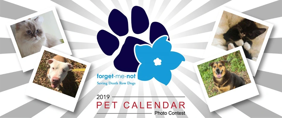 Forget-Me-Not 2019 Pet Calendar Photo Contest