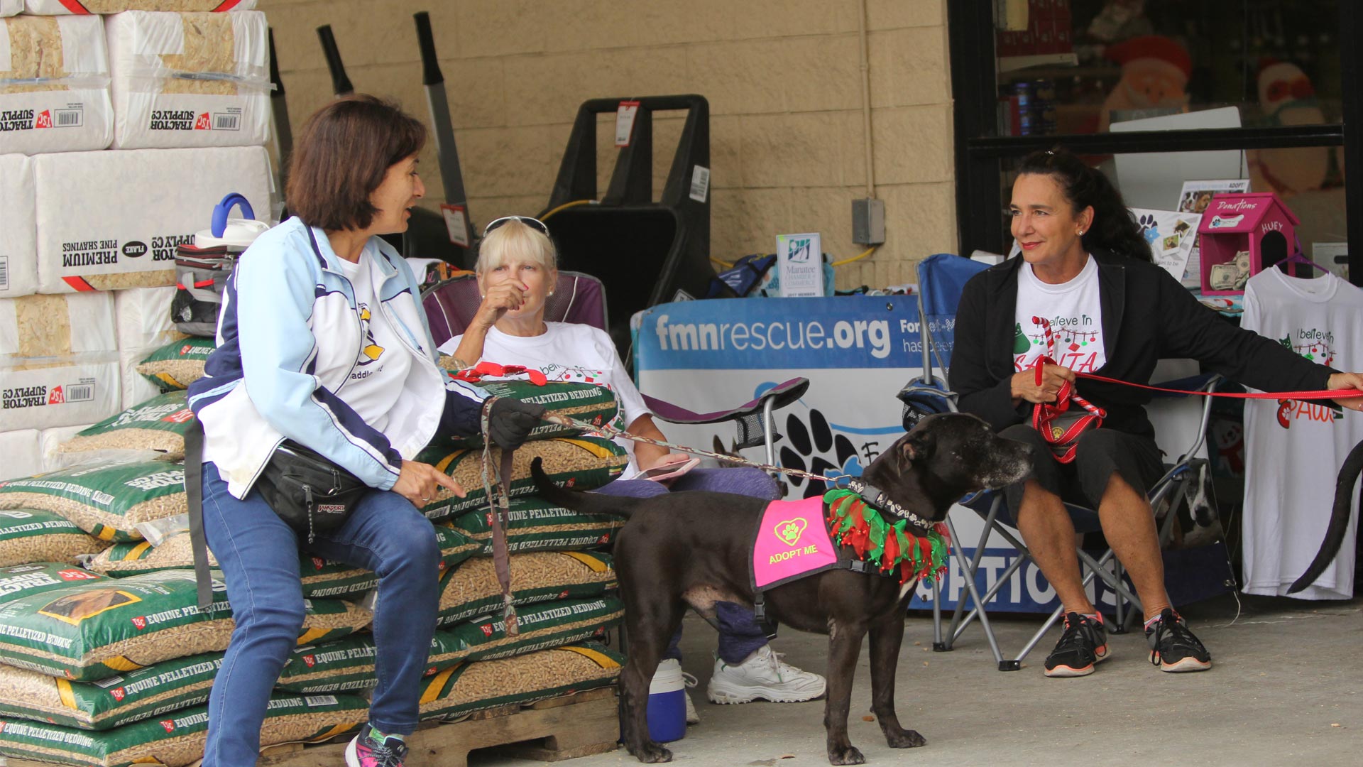 Forget-Me-Not Inc. doing a fundraiser to raise money to help save large dogs in the Bradenton area.