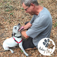 One of Forget-Me-Not Inc. saved dog and his new owner in Bradenton, FL.