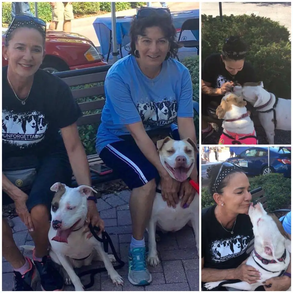 Shiloh and Blanca out for a walk with our volunteers at Forget-Me-Not Inc.!