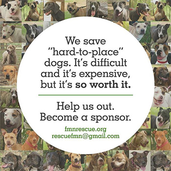 Sponsor our dog rescue in Bradenton, FL.