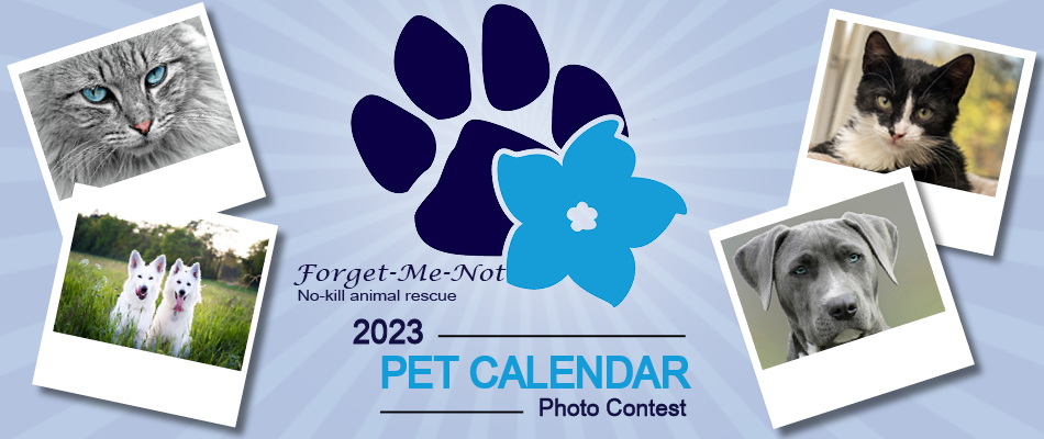2020 Pet Calendar Photo Contest